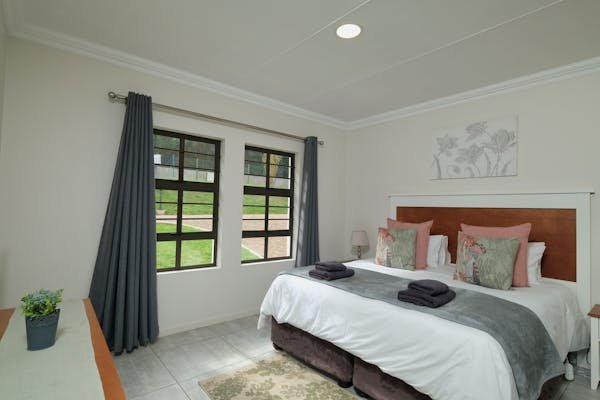 Détection canine des punaises de lit à paris : la solution rapide